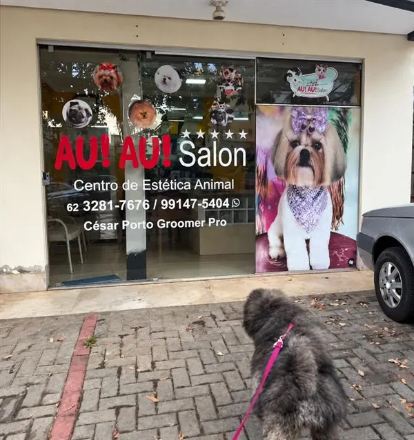 Fachada do AU! AU! Salon, Centro de Estética Animal, com vitrine decorada por adesivos de raças e banner de Shih-tzu